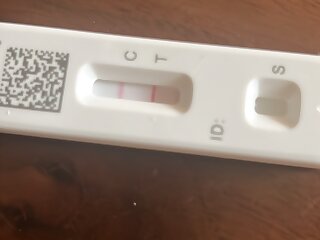 52 Arab Youtuber Rudy Ayoub habibispice OnlyFans LEAKED