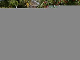 Pool Daddy  Johnny Ford & Cristiano  Bareback