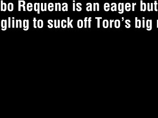 Gabo Requena & Toro Bravo