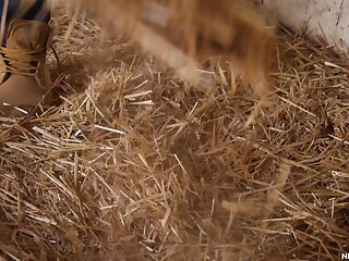 Hay Bros (Carter Woods, Julian Brady)