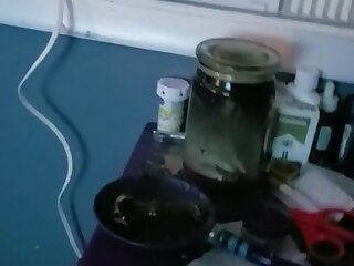 Edging Dominant Bi Curious Chaldean College Twink Dick