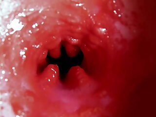 What happens during Cumshot in an Anus